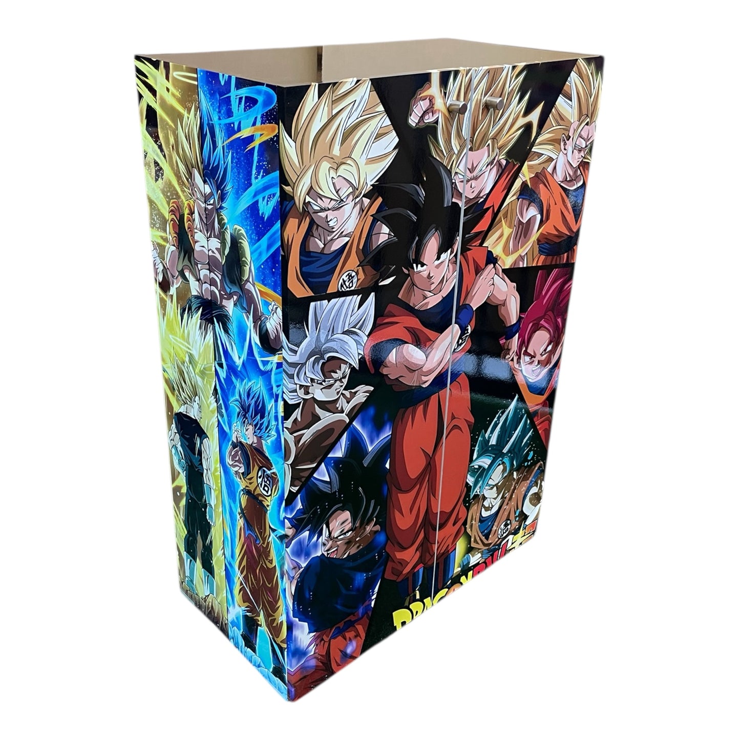 Organizador SNKR & SNAPBACK 15 pares