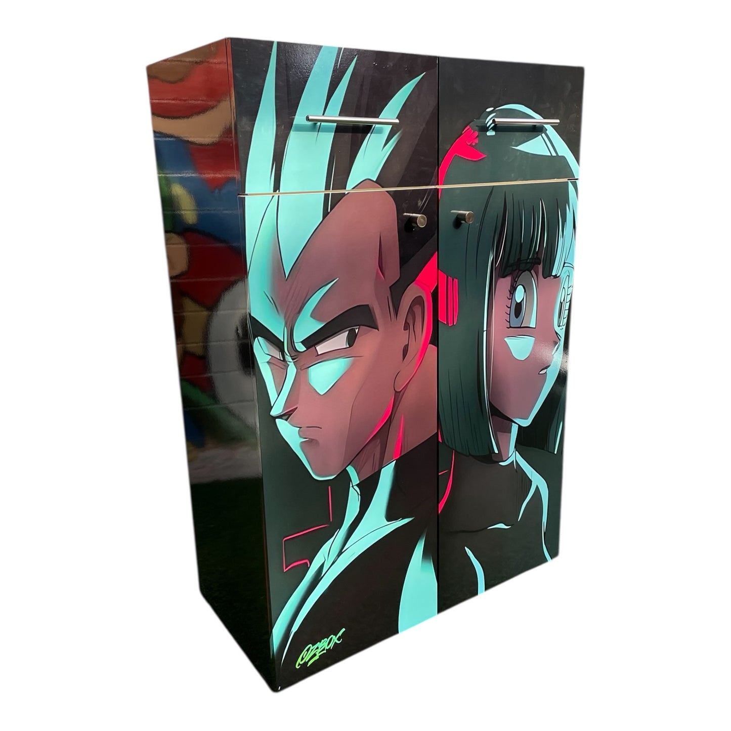 Organizador 12 pares + cajones